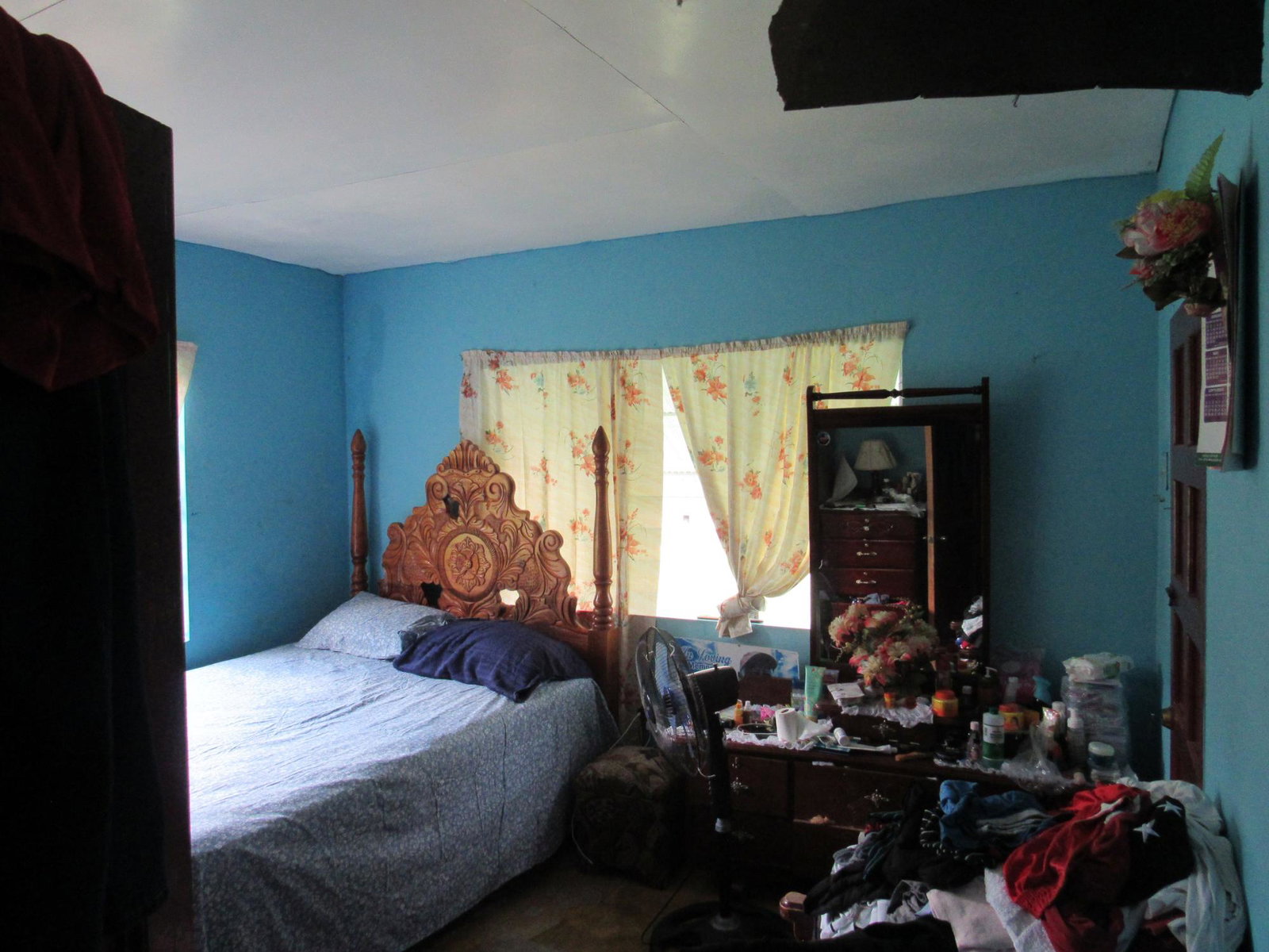 Thirteenth image of 265- Part of Petersville in Petersville, Westmoreland, Jamaica - property is For Sale