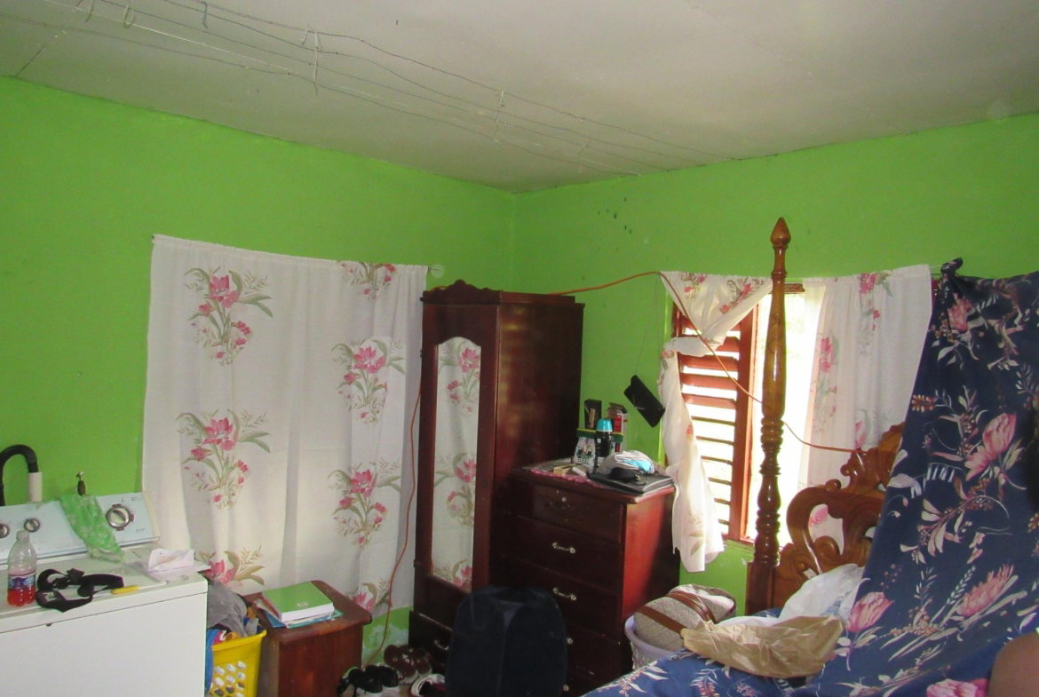 Fourteenth image of 265- Part of Petersville in Petersville, Westmoreland, Jamaica - property is For Sale