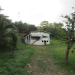 First image of 265- Part of Petersville in Petersville, Westmoreland, Jamaica - property is For Sale