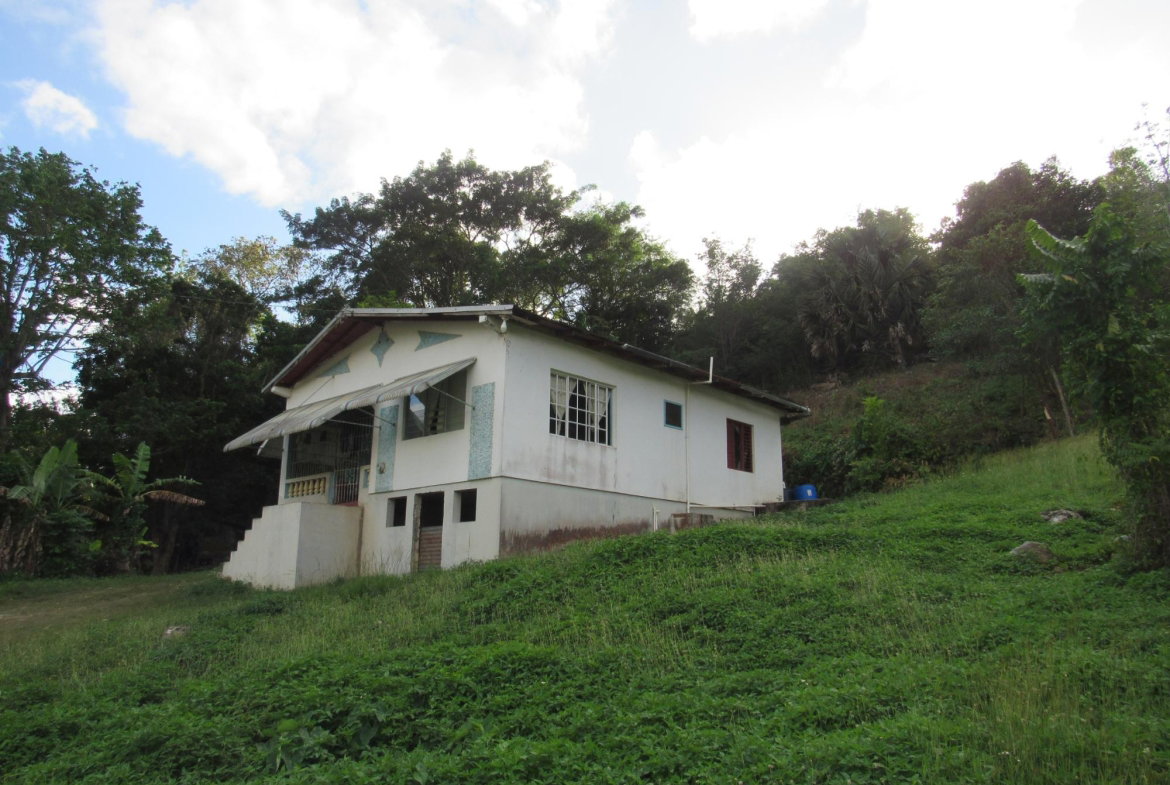 Third image of 265- Part of Petersville in Petersville, Westmoreland, Jamaica - property is For Sale