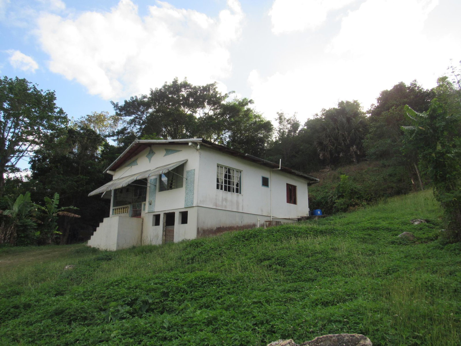 Third image of 265- Part of Petersville in Petersville, Westmoreland, Jamaica - property is For Sale