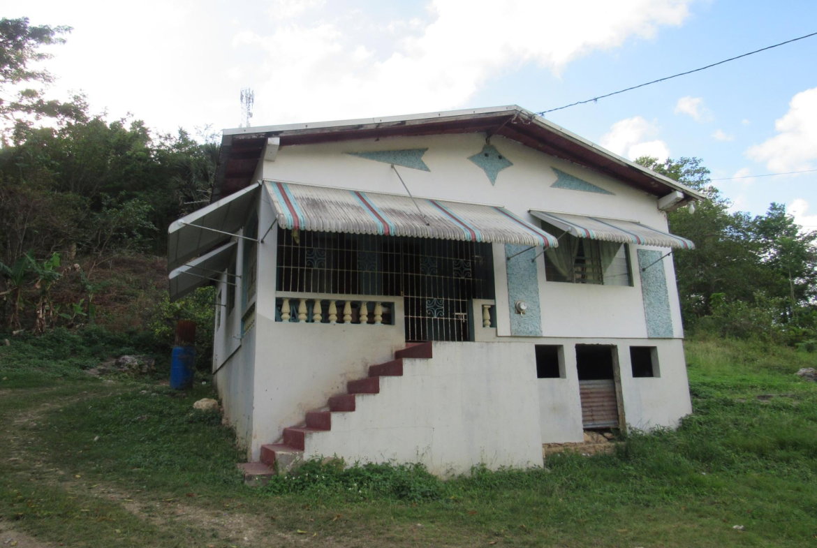 Fourth image of 265- Part of Petersville in Petersville, Westmoreland, Jamaica - property is For Sale