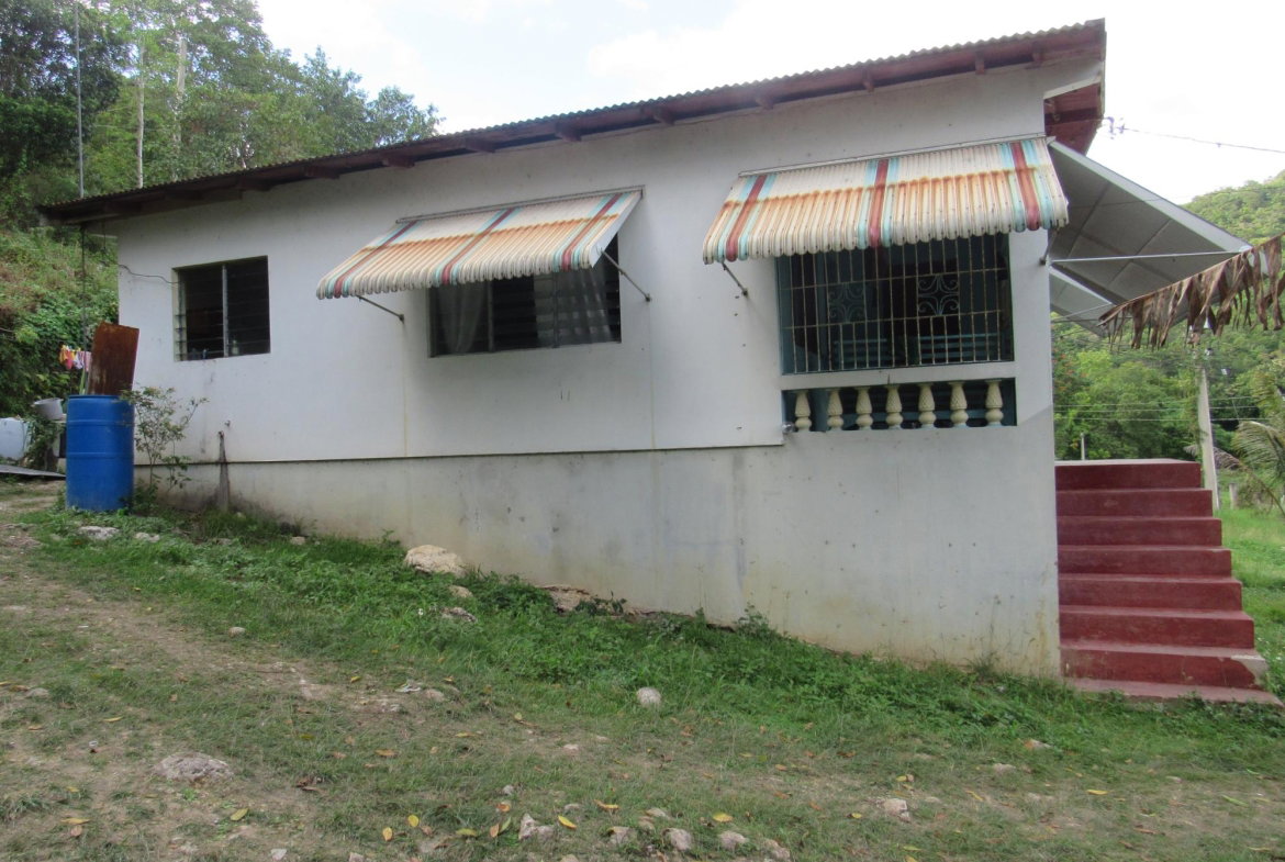 Fifth image of 265- Part of Petersville in Petersville, Westmoreland, Jamaica - property is For Sale