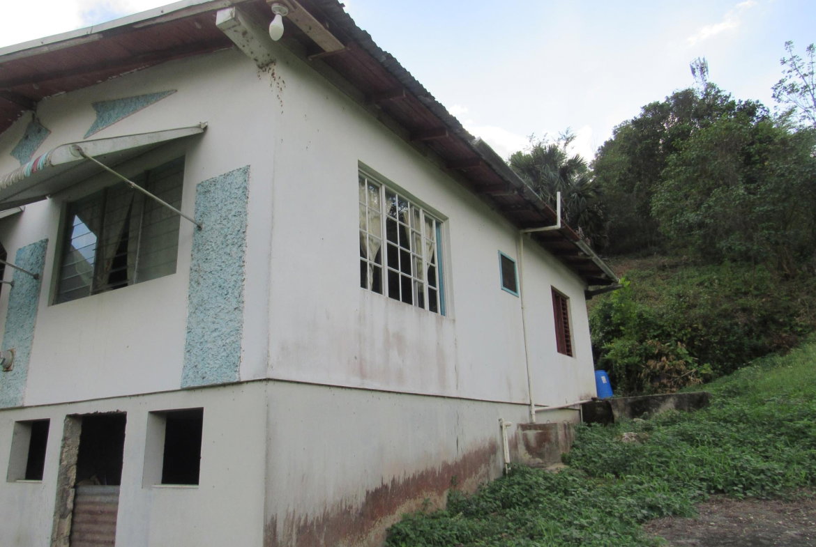 Sixth image of 265- Part of Petersville in Petersville, Westmoreland, Jamaica - property is For Sale