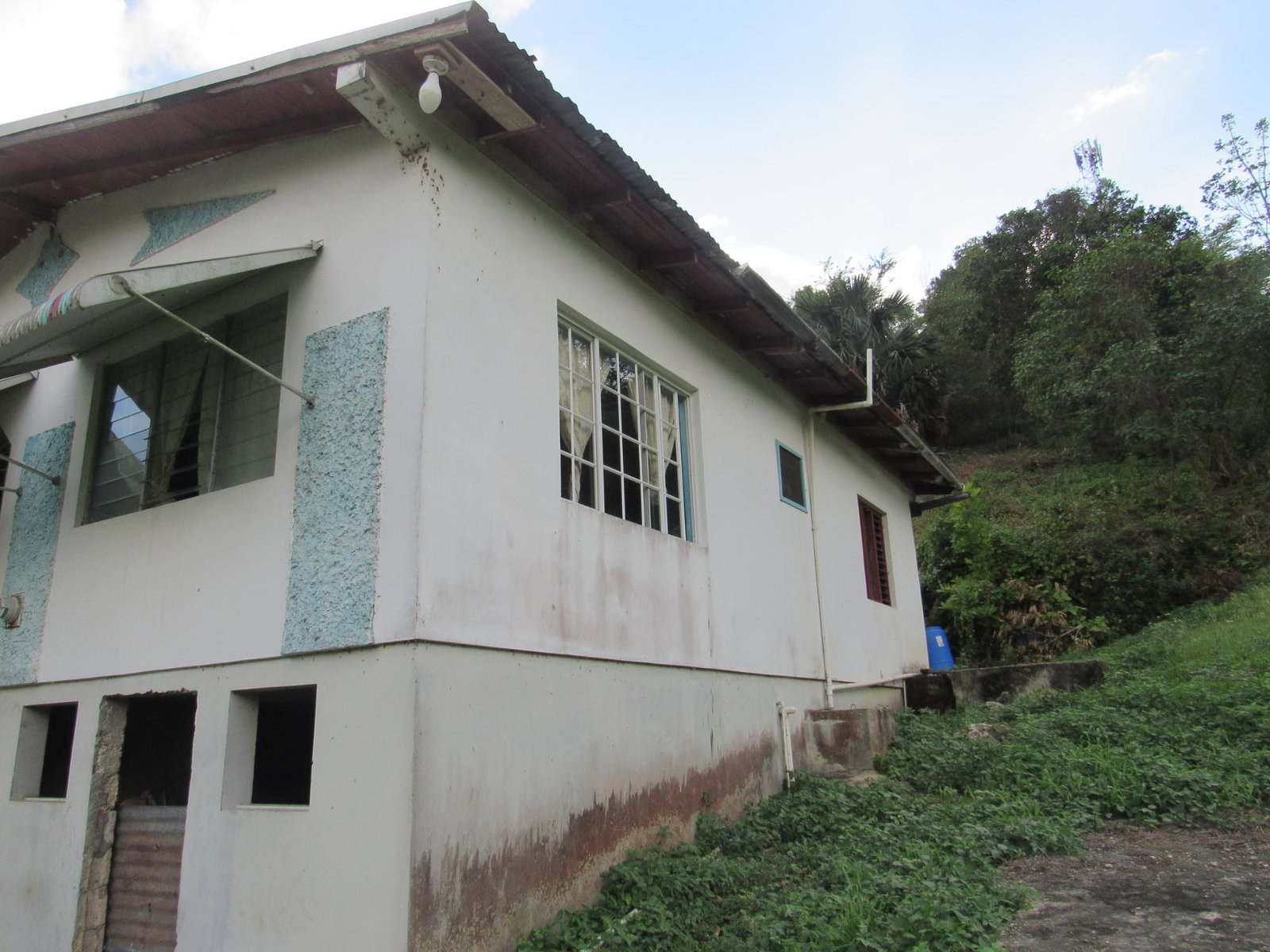 Sixth image of 265- Part of Petersville in Petersville, Westmoreland, Jamaica - property is For Sale