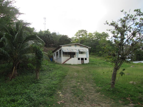 First image of 265- Part of Petersville in Petersville, Westmoreland, Jamaica - property is For Sale