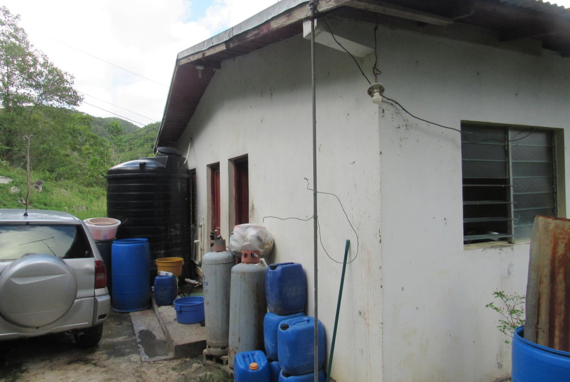 Seventh image of 265- Part of Petersville in Petersville, Westmoreland, Jamaica - property is For Sale