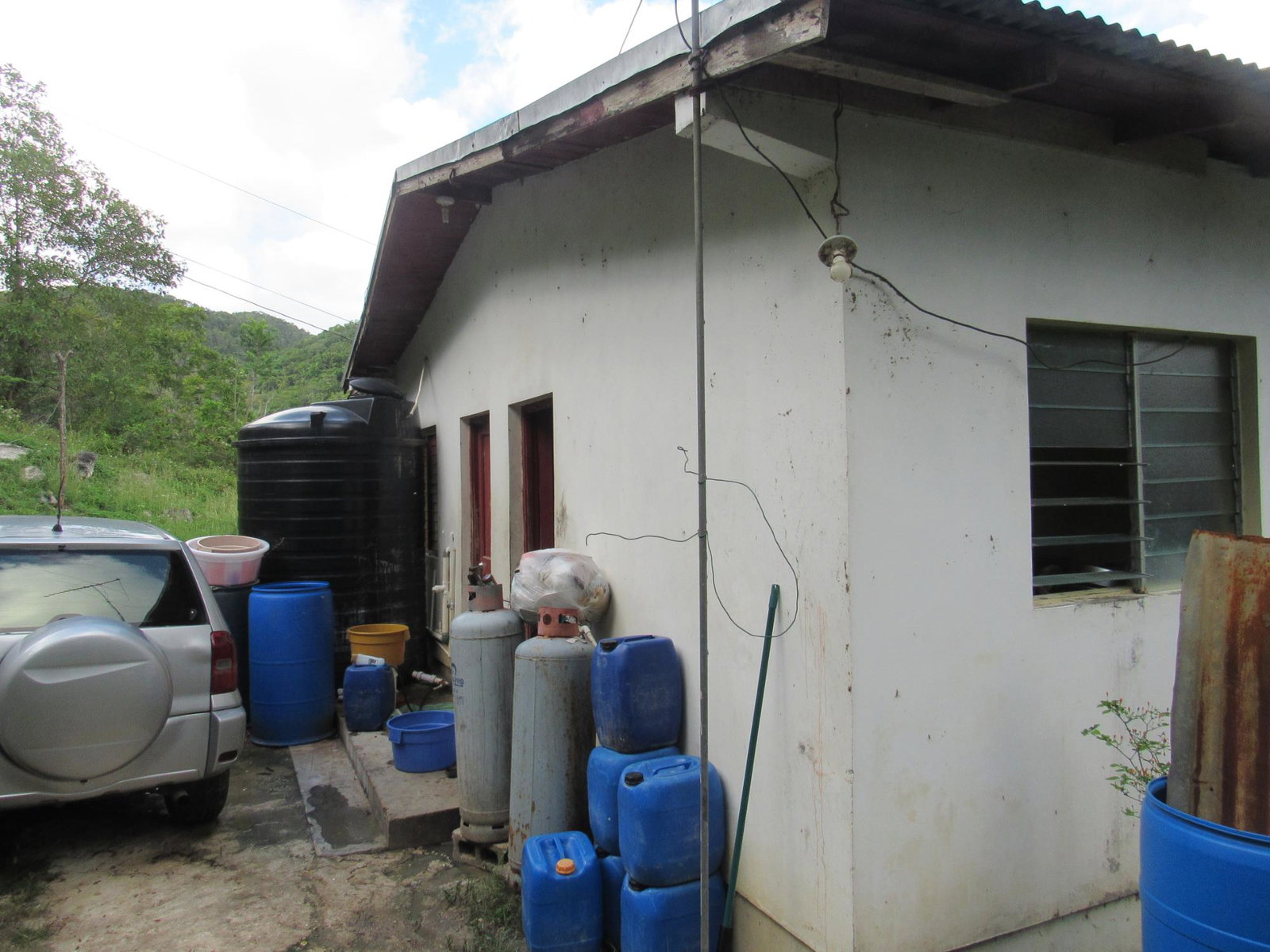 Seventh image of 265- Part of Petersville in Petersville, Westmoreland, Jamaica - property is For Sale