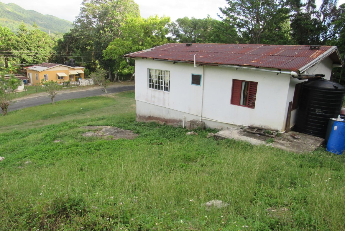 Eighth image of 265- Part of Petersville in Petersville, Westmoreland, Jamaica - property is For Sale