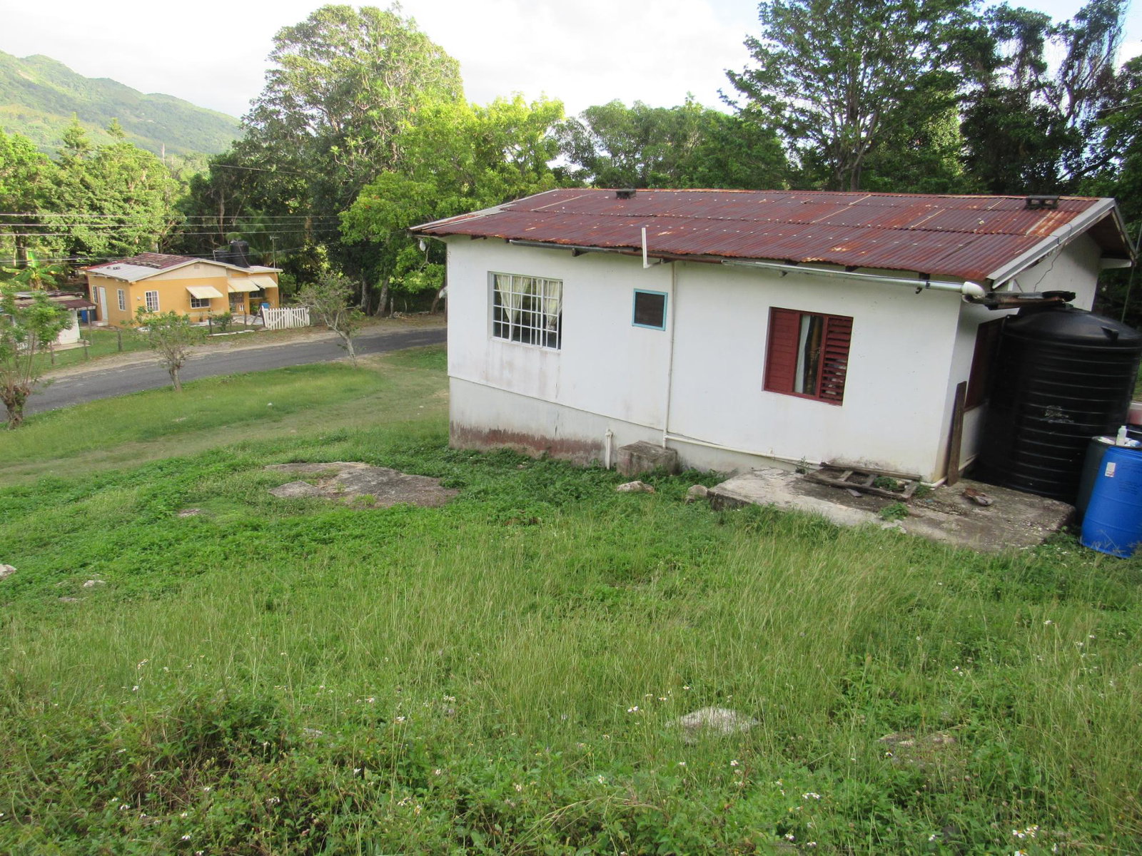 Eighth image of 265- Part of Petersville in Petersville, Westmoreland, Jamaica - property is For Sale