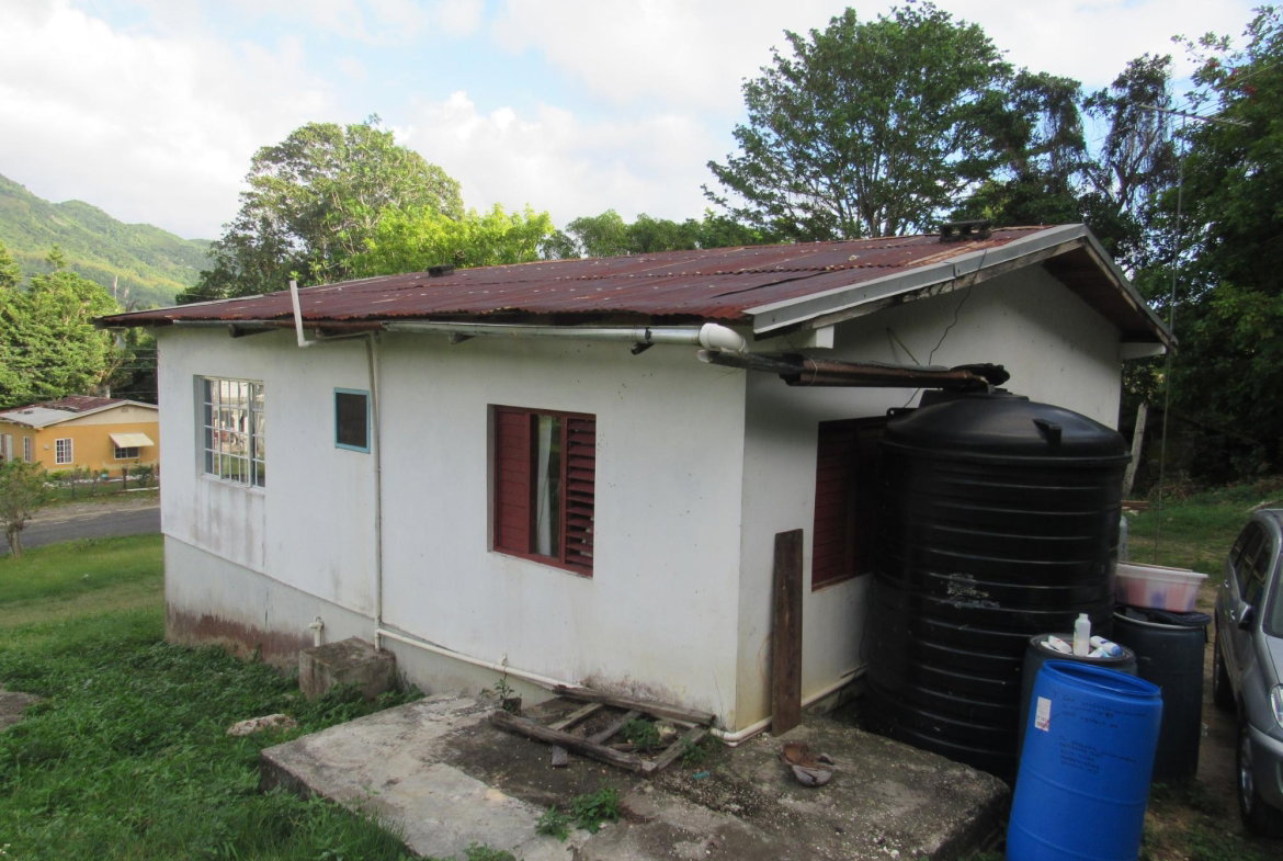 Ninth image of 265- Part of Petersville in Petersville, Westmoreland, Jamaica - property is For Sale