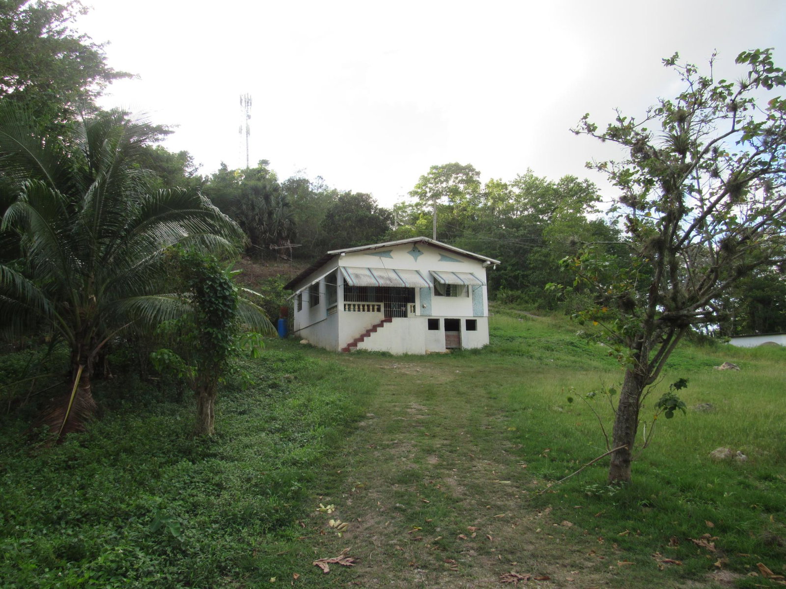 First image of 265- Part of Petersville in Petersville, Westmoreland, Jamaica - property is For Sale