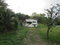 First image of 265- Part of Petersville in Petersville, Westmoreland, Jamaica - property is For Sale