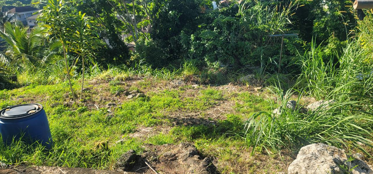 Twenty-Fourth image of 223 Woodlawn Housing Scheme in Mandeville, Manchester, Jamaica - property is For Sale