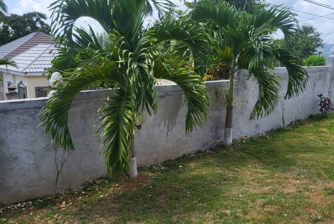 Twenty-Second image of Three Chains in Mandeville, Manchester, Jamaica - property is For Sale