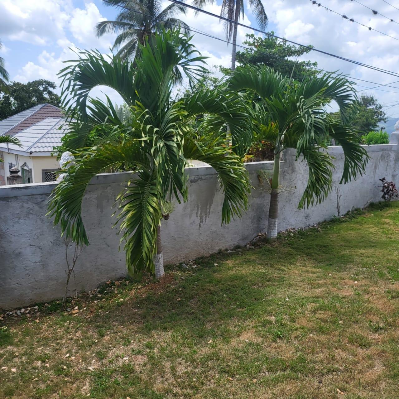 Twenty-Second image of Three Chains in Mandeville, Manchester, Jamaica - property is For Sale