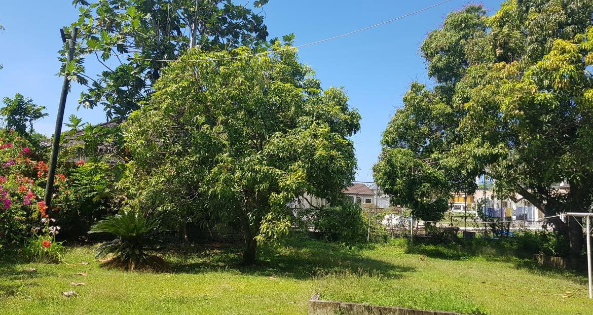Fourth image of Llandillo in SAVANNA LA MAR, Westmoreland, Jamaica - property is For Sale