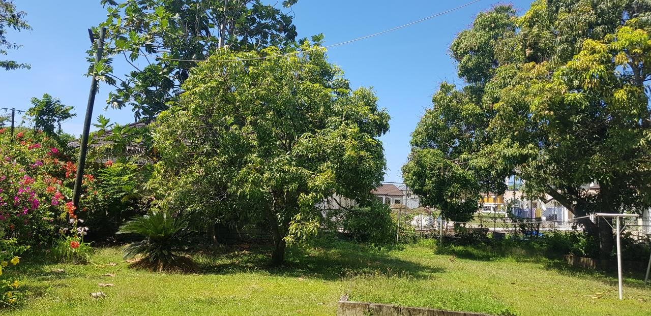 Fourth image of Llandillo in SAVANNA LA MAR, Westmoreland, Jamaica - property is For Sale