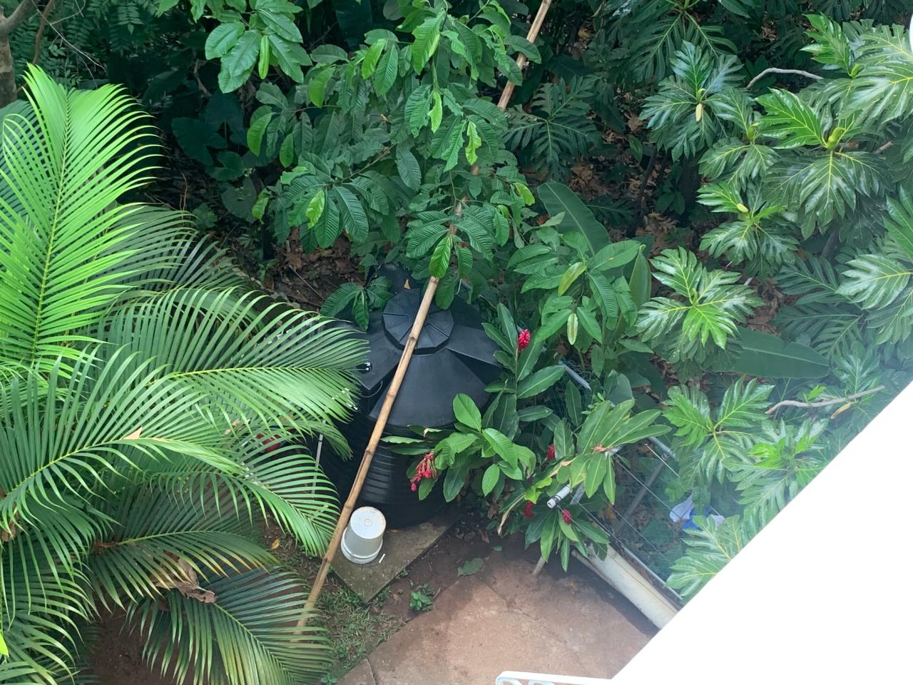 Ninth image of sl 10-pt of Thompson Close in Red Hills, St. Andrew, Jamaica - property is For Sale