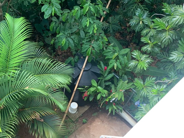Ninth image of sl 10-pt of Thompson Close in Red Hills, St. Andrew, Jamaica - property is For Sale