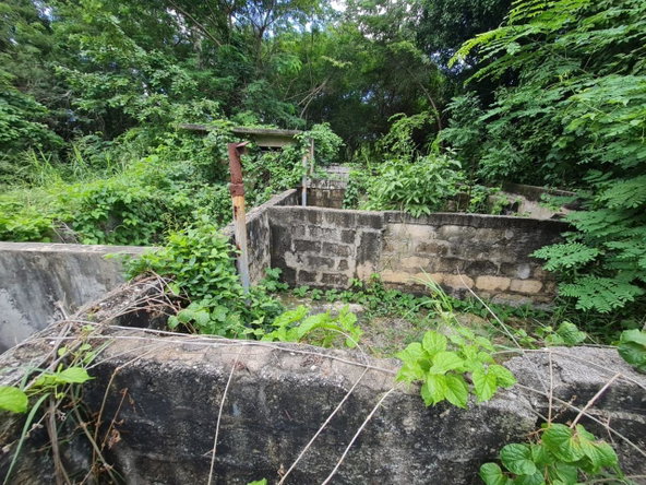 Fifth image of Part of Kingsland in KITSON TOWN, St. Catherine, Jamaica - property is For Sale
