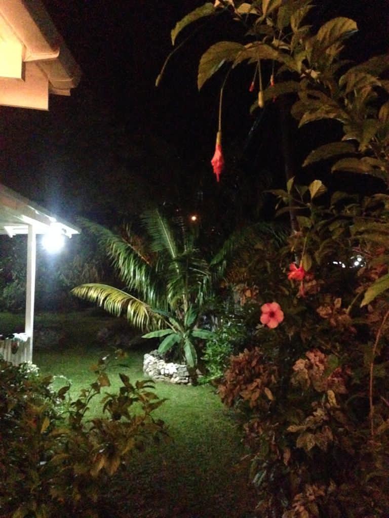 Twenty-First image of Drapers, Portland in Drapers, Portland, Jamaica - property is For Sale