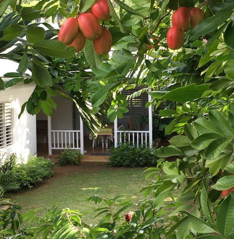 Thirtieth image of Drapers, Portland in Drapers, Portland, Jamaica - property is For Sale