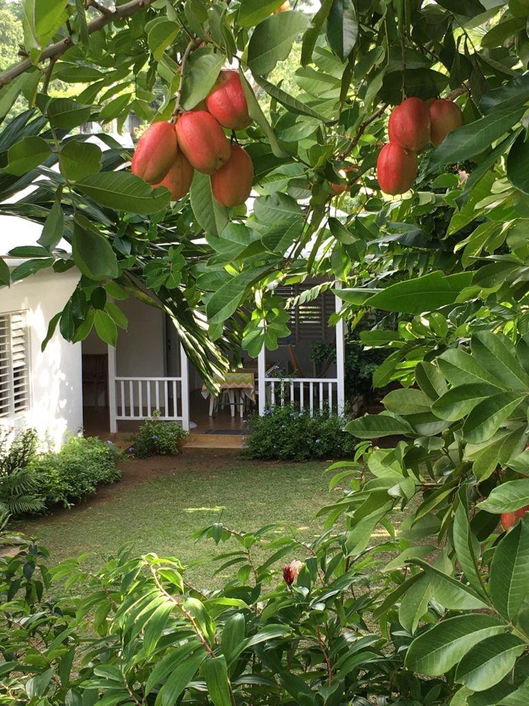 Thirtieth image of Drapers, Portland in Drapers, Portland, Jamaica - property is For Sale