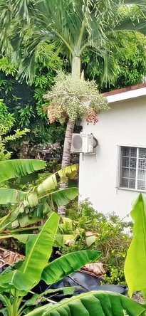 Twenty-Seventh image of 1 Ocean Ridge Drive in Ocean Ridge, St. Mary, Jamaica - property is For Sale