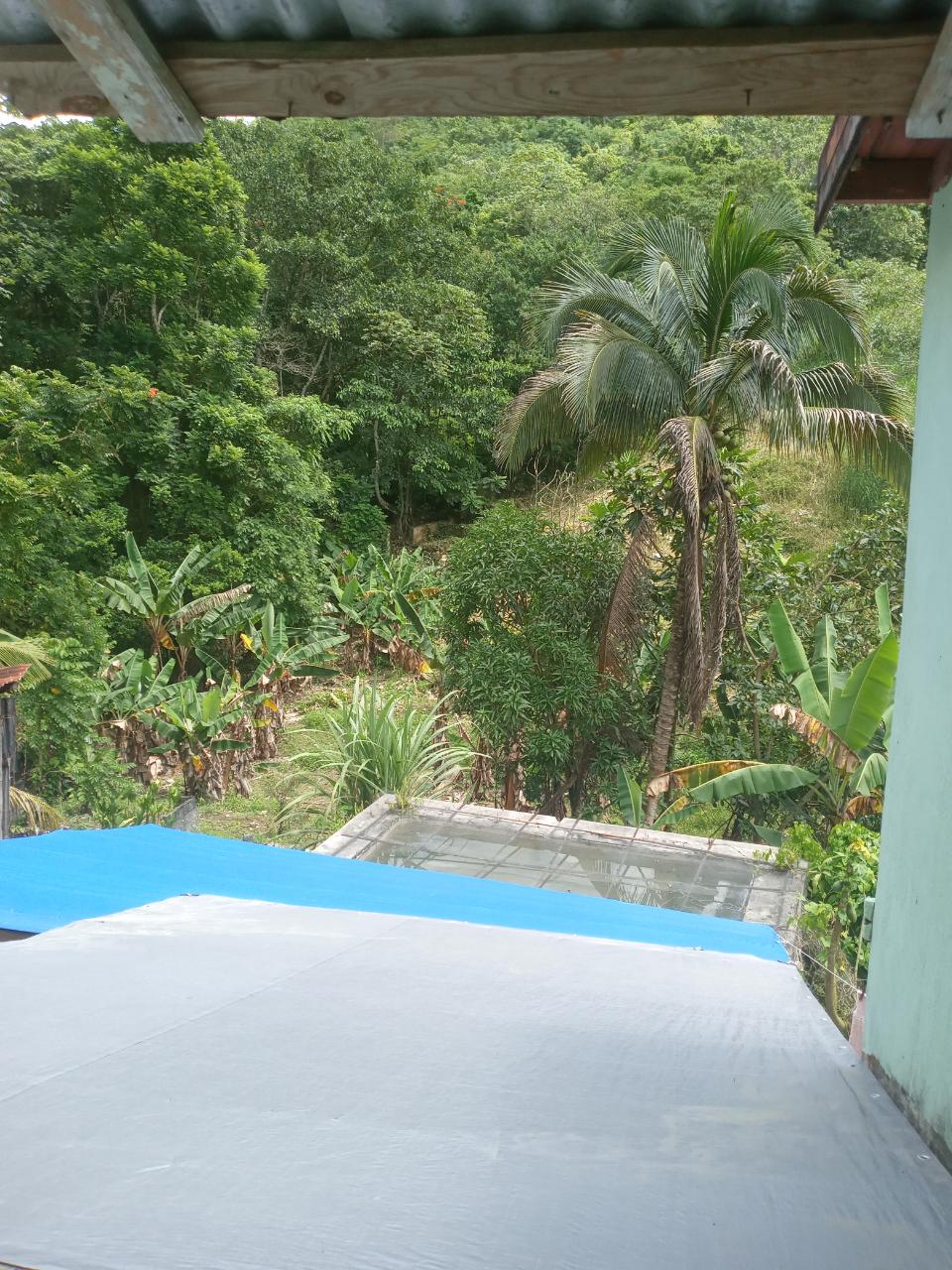 Nineteenth image of Darliston Westmoreland in Darliston, Westmoreland, Jamaica - property is For Sale