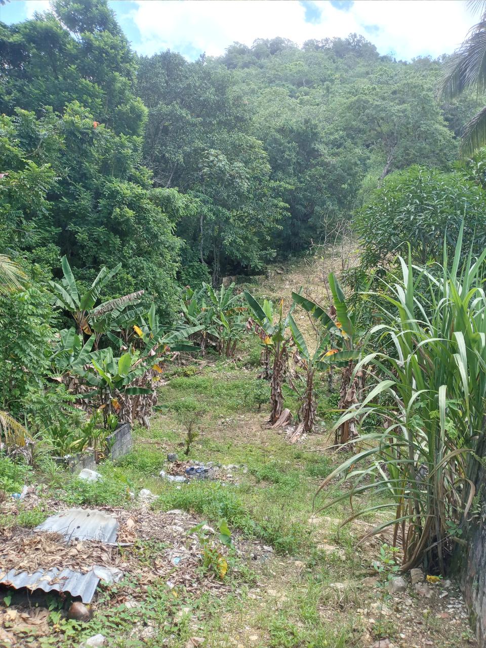 Twenty-Seventh image of Darliston Westmoreland in Darliston, Westmoreland, Jamaica - property is For Sale