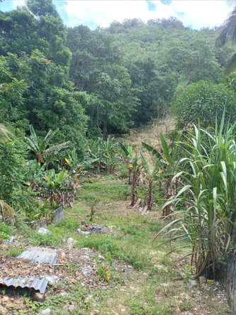 Twenty-Seventh image of Darliston Westmoreland in Darliston, Westmoreland, Jamaica - property is For Sale