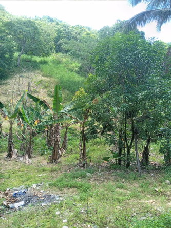 Twenty-Eighth image of Darliston Westmoreland in Darliston, Westmoreland, Jamaica - property is For Sale