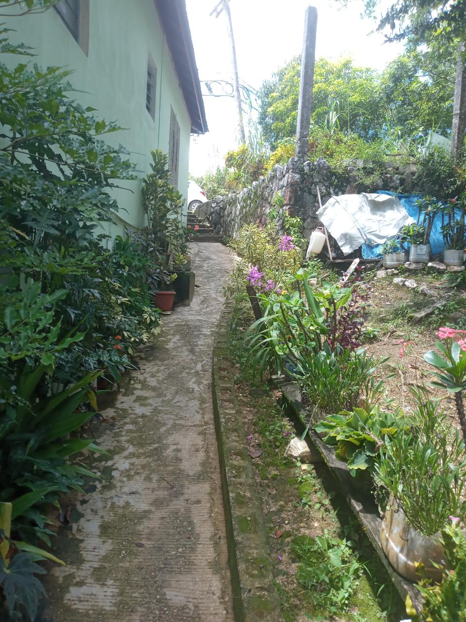 Ninth image of Darliston Westmoreland in Darliston, Westmoreland, Jamaica - property is For Sale