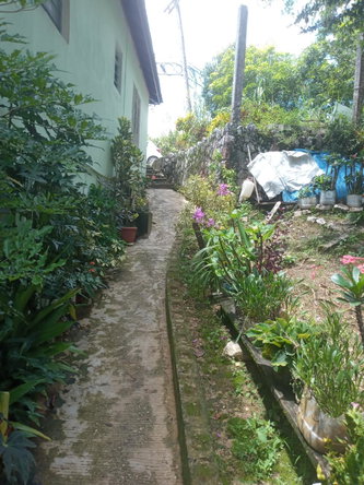 Ninth image of Darliston Westmoreland in Darliston, Westmoreland, Jamaica - property is For Sale