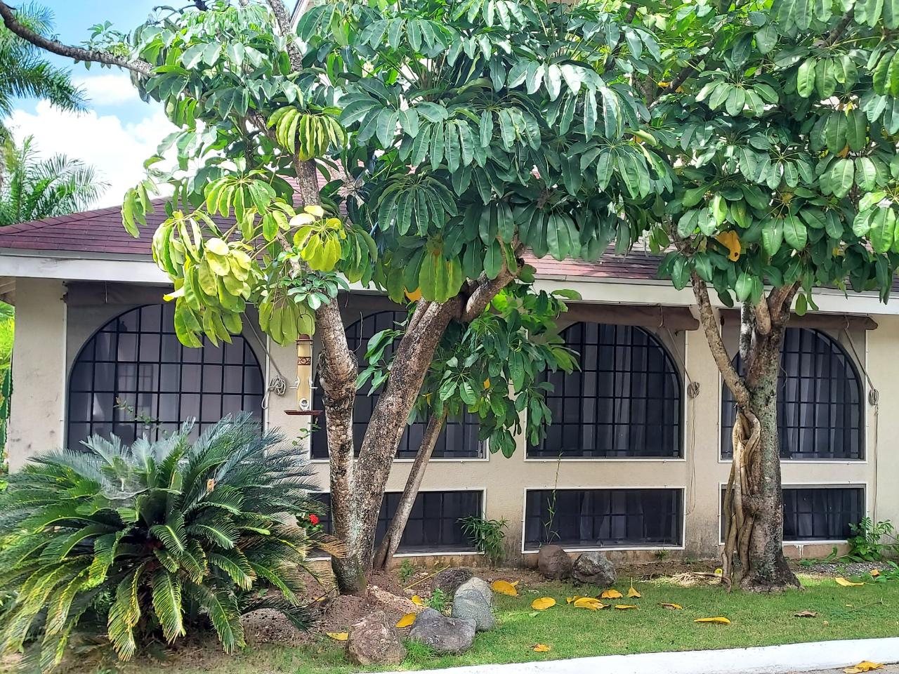 Charming-Shabby-Chic-Town-Home-for-Sale-in-Cherry-Gardens-Jamaica Third image of 2-1a Upper Melwood Avenue in Cherry Gardens, St. Andrew, Jamaica - property is For Sale