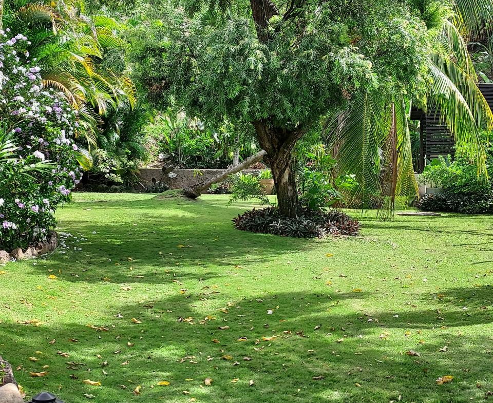 Thirtieth image of 2-1a Upper Melwood Avenue in Cherry Gardens, St. Andrew, Jamaica - property is For Sale