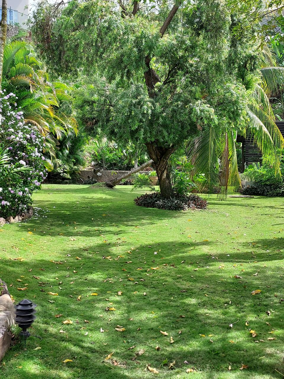 Charming-Shabby-Chic-Town-Home-for-Sale-in-Cherry-Gardens-Jamaica Thirtieth image of 2-1a Upper Melwood Avenue in Cherry Gardens, St. Andrew, Jamaica - property is For Sale