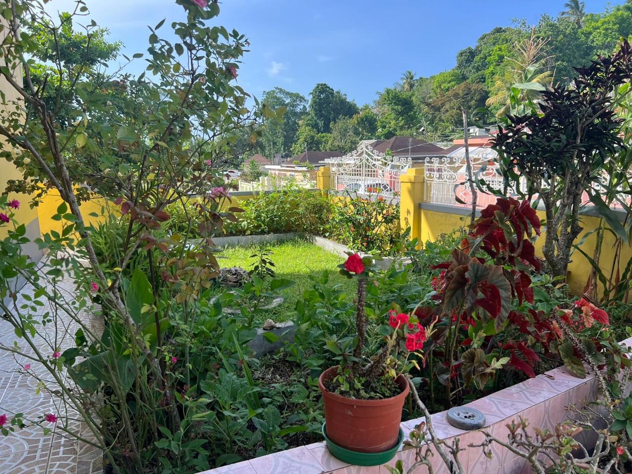 Fifth image of Huntly, Browns Town , St. in Huntley, St. Ann, Jamaica - property is For Sale