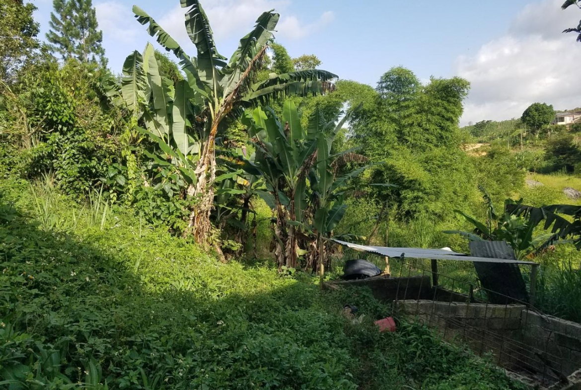 Eleventh image of Coleyville in Coleyville, Manchester, Jamaica - property is For Sale