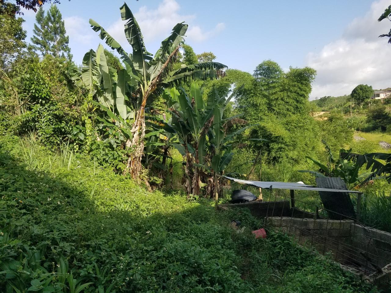 Charming-Split-Level-Home-with-Land-for-Sale-in-Coleyville-Jamaica Eleventh image of Coleyville in Coleyville, Manchester, Jamaica - property is For Sale