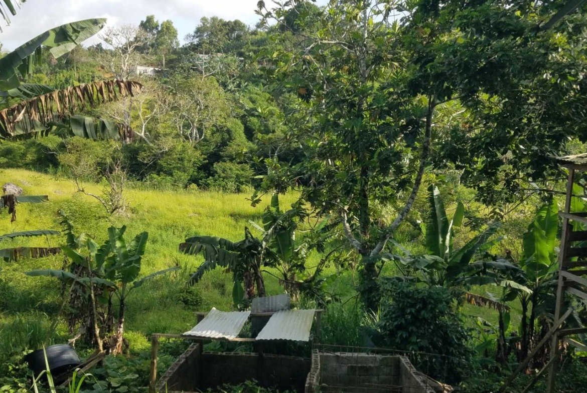 Twelfth image of Coleyville in Coleyville, Manchester, Jamaica - property is For Sale