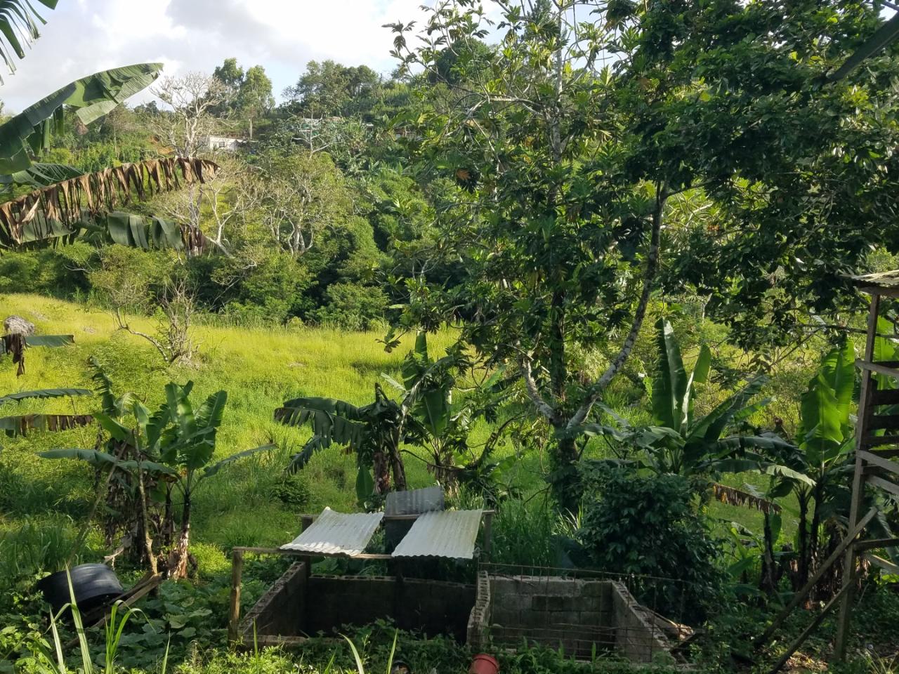 Charming-Split-Level-Home-with-Land-for-Sale-in-Coleyville-Jamaica Twelfth image of Coleyville in Coleyville, Manchester, Jamaica - property is For Sale