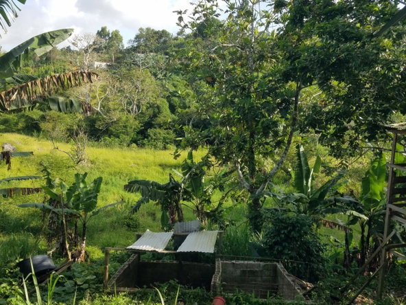 Twelfth image of Coleyville in Coleyville, Manchester, Jamaica - property is For Sale