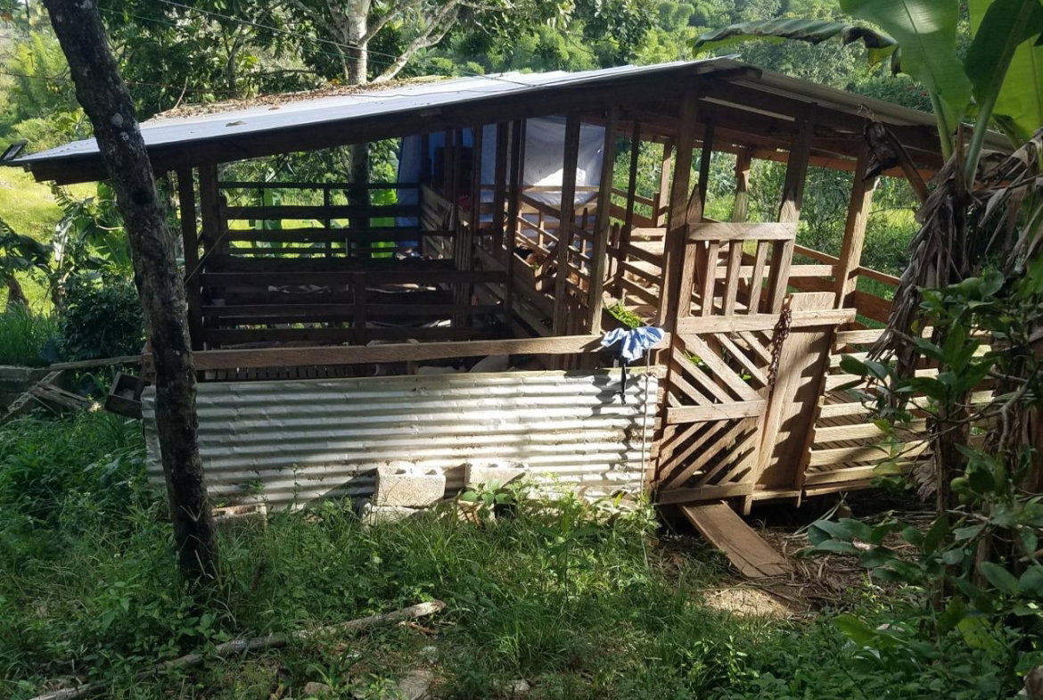 Seventh image of Coleyville in Coleyville, Manchester, Jamaica - property is For Sale