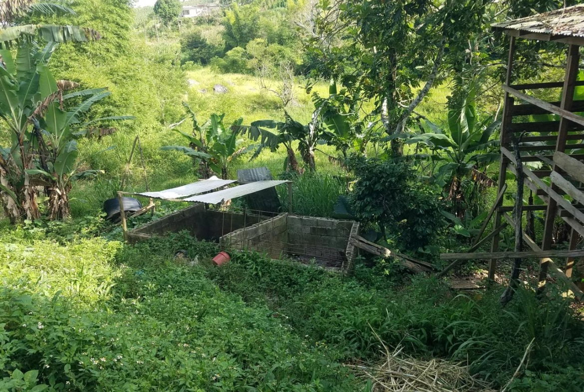 Eighth image of Coleyville in Coleyville, Manchester, Jamaica - property is For Sale