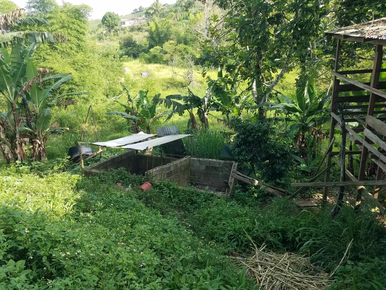 Charming-Split-Level-Home-with-Land-for-Sale-in-Coleyville-Jamaica Eighth image of Coleyville in Coleyville, Manchester, Jamaica - property is For Sale