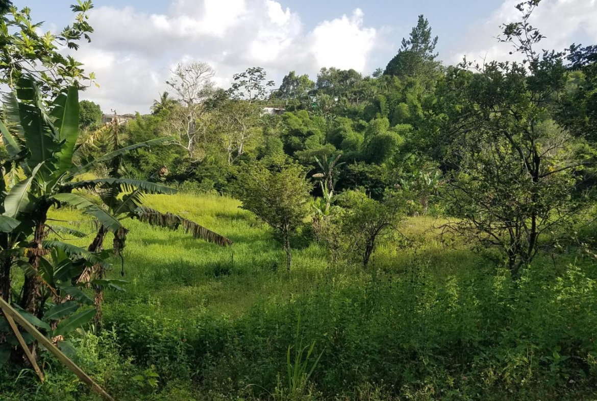 Ninth image of Coleyville in Coleyville, Manchester, Jamaica - property is For Sale