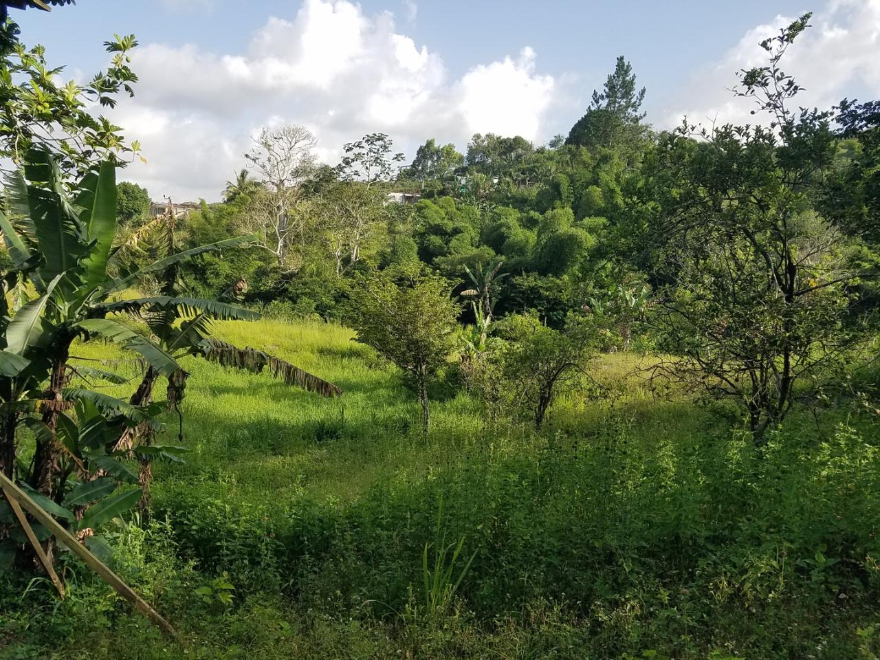 Charming-Split-Level-Home-with-Land-for-Sale-in-Coleyville-Jamaica Ninth image of Coleyville in Coleyville, Manchester, Jamaica - property is For Sale