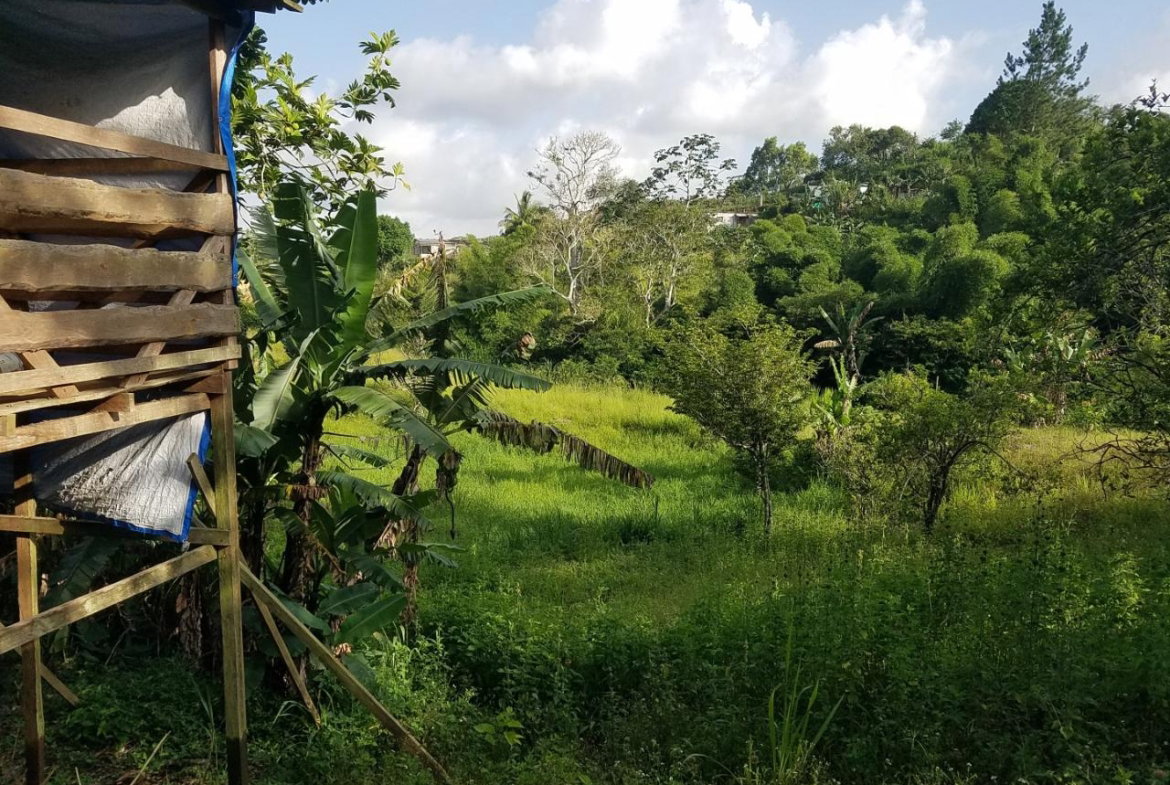 Tenth image of Coleyville in Coleyville, Manchester, Jamaica - property is For Sale